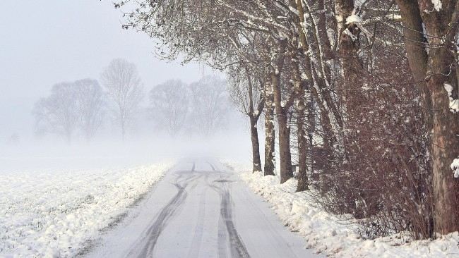 zdjęcie ilustracyjne