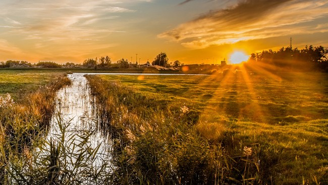 W połowie tygodnia słonecznie i upalnie. Będzie sucho.