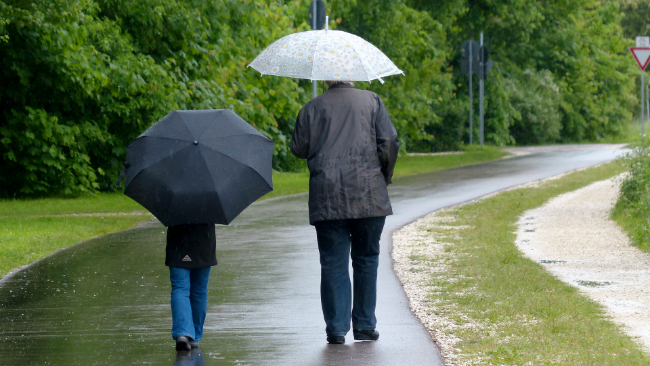 Drugi weekend sierpnia z wysoką wilgotnością powietrza, opadami deszczu i burzami.