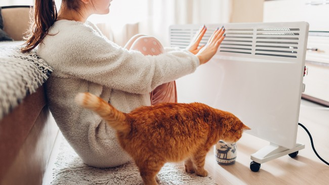 zdjęcie ilustracyjne