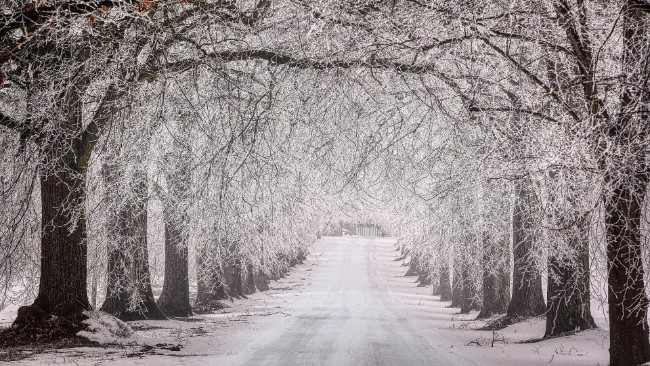 Noc z poniedziałku na wtorek mroźna. W ciągu dnia poprószy śnieg.