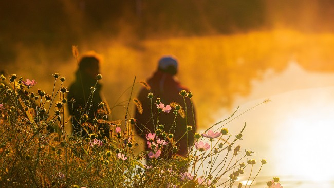 Wyż, słońce, korzystny biomet i coraz wyższe temperatury. Taki będzie nadchodzący tydzień.
