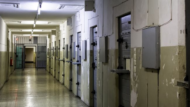 zdjęcie ilustracyjne