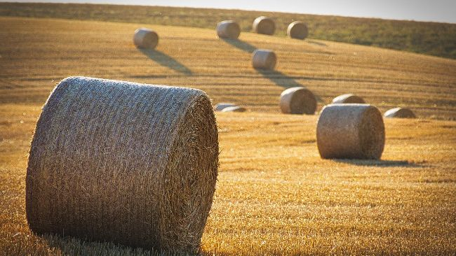 Wraca gorące powietrze. Ciśnienie spada.