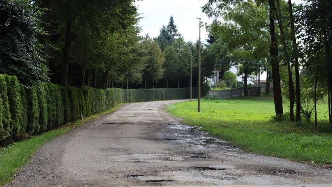 Fot. źródło: UG Jedlicze