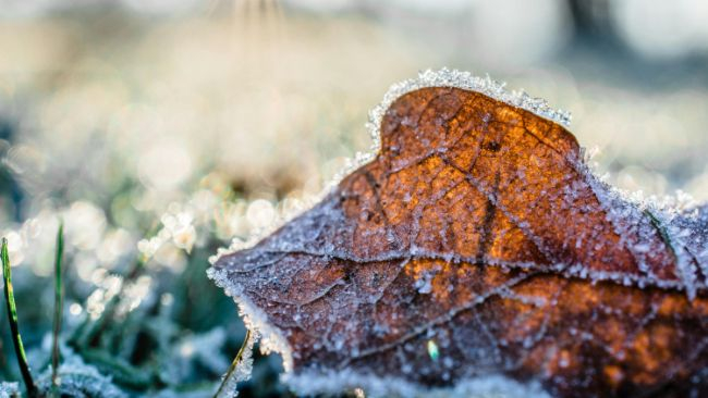 Początek tygodnia zapowiada się pochmurno. Od wtorkowego przedpołudnia poprawa pogody.