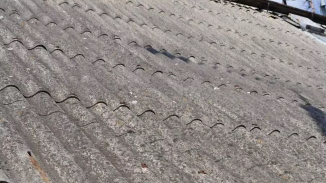 zdjęcie ilustracyjne