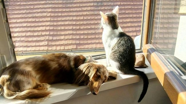 zdjęcie ilustracyjne