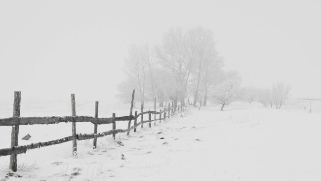 Koniec tygodnia z pokrywą i zawiejami śnieżnymi. Napłynie powietrze arktyczne.