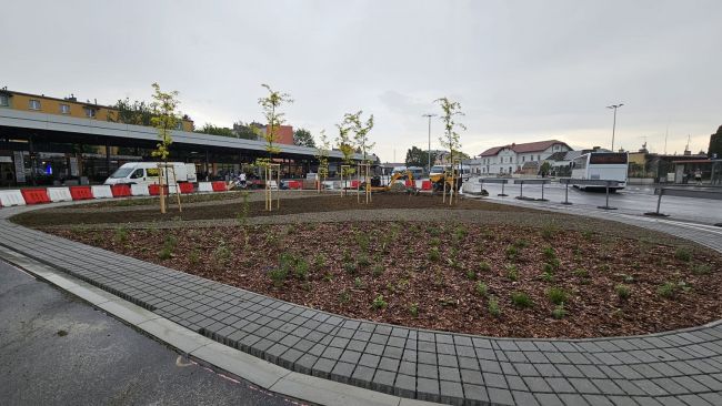 Fot. źródło: UM Krosno