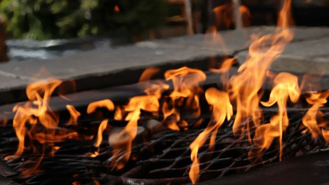 zdjęcie ilustracyjne