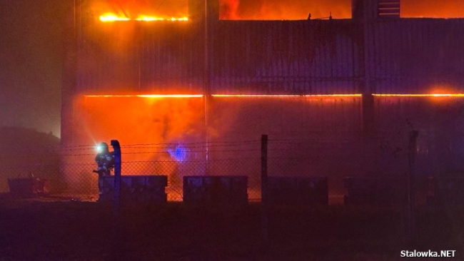 Fot.: Jacek Rodecki / stalowka.net