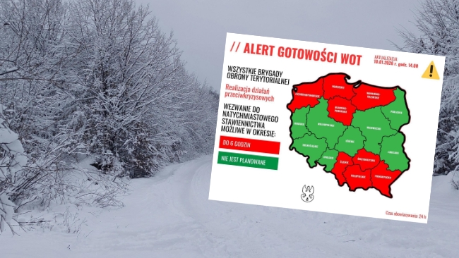 Fot. Pexels / Władysław Kosiniak-Kamysz/X