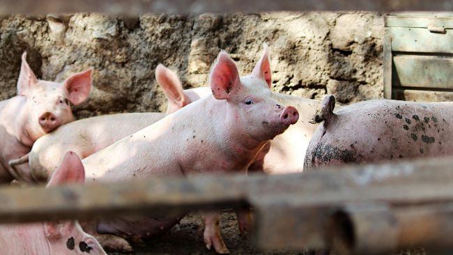 zdjęcie ilustracyjne