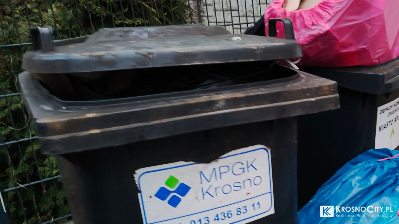 zdjęcie ilustracyjne