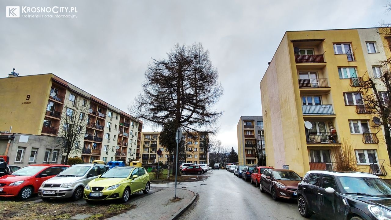 zdjęcie ilustracyjne