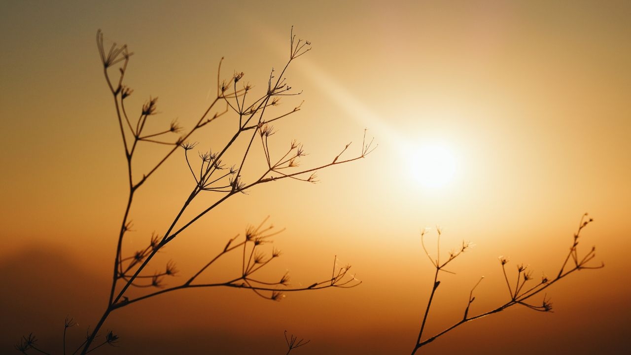 W nadchodzącym tygodniu także nie zabraknie słońca.