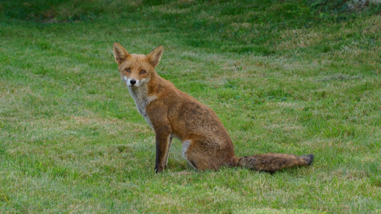 zdjęcie ilustracyjne / Fot. Pexels