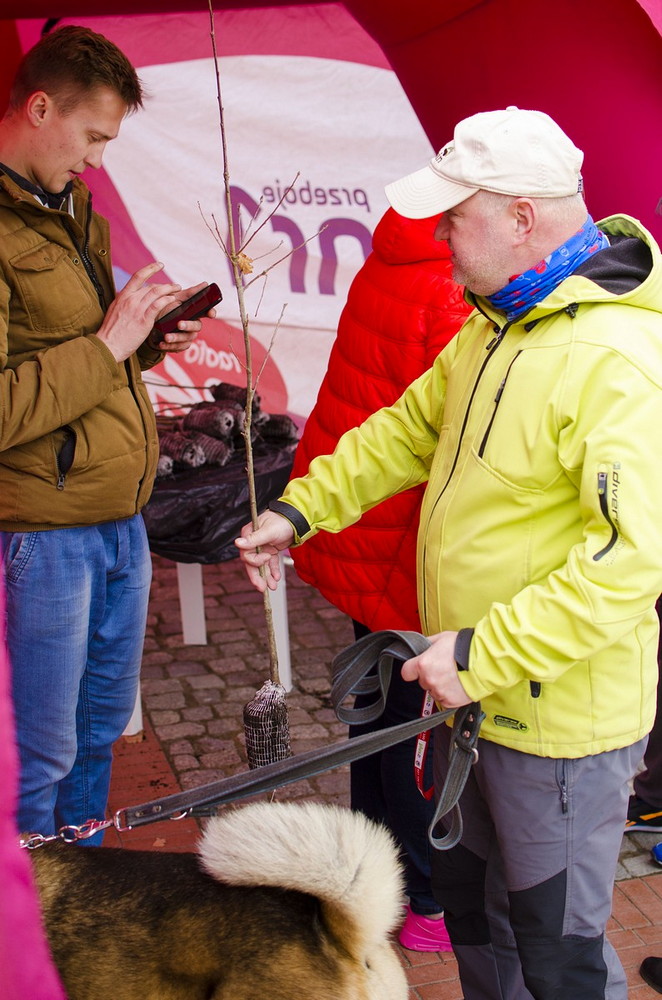 Radio ZET rozdawało w Krośnie sadzonki polskich dębów. Fot. Karol Słomka