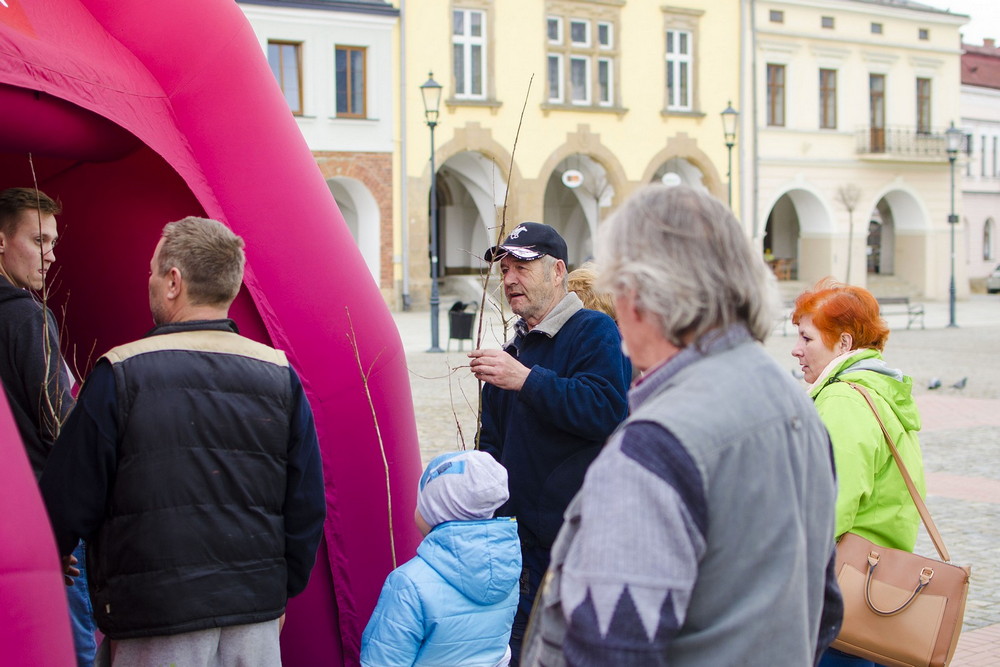 Radio ZET rozdawało w Krośnie sadzonki polskich dębów. Fot. Karol Słomka