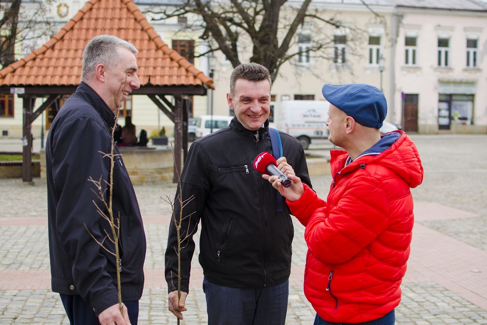 Radio ZET rozdawało w Krośnie sadzonki polskich dębów. Fot. Karol Słomka