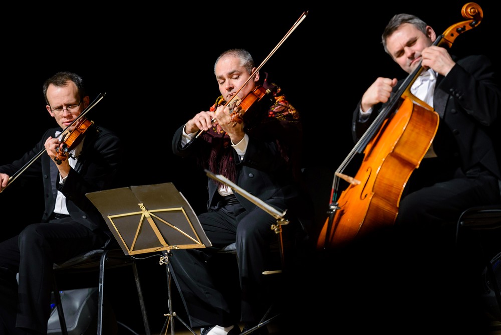 Koncert Grupy MoCarta