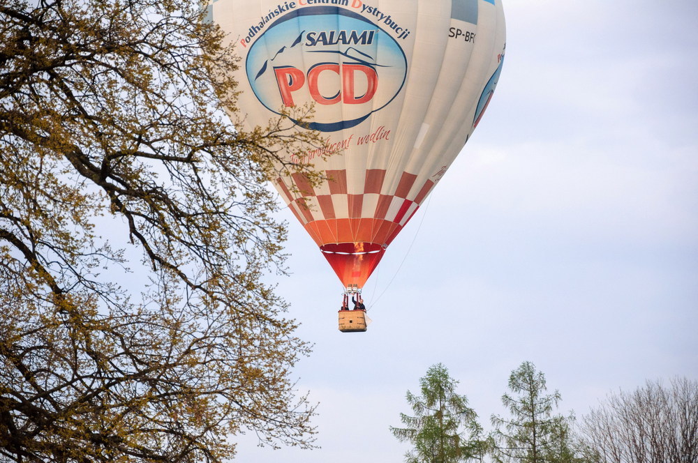 18. MGZB Krosno 2017. Fot. Mateusz Głód