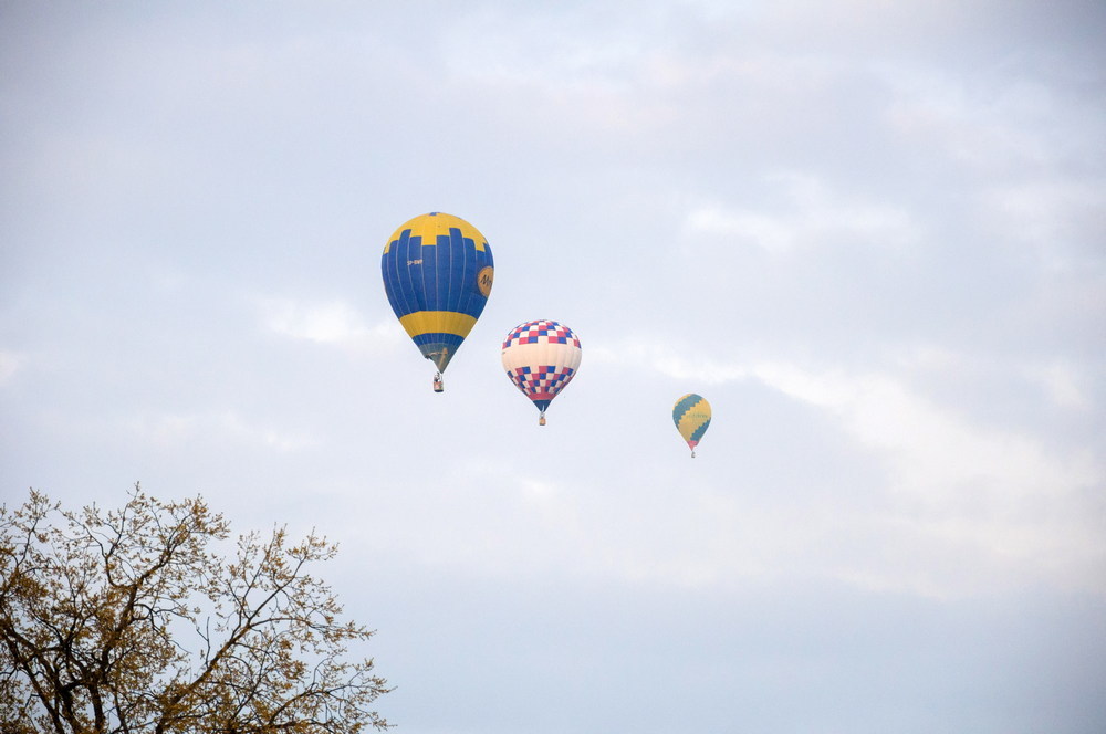 18. MGZB Krosno 2017. Fot. Mateusz Głód