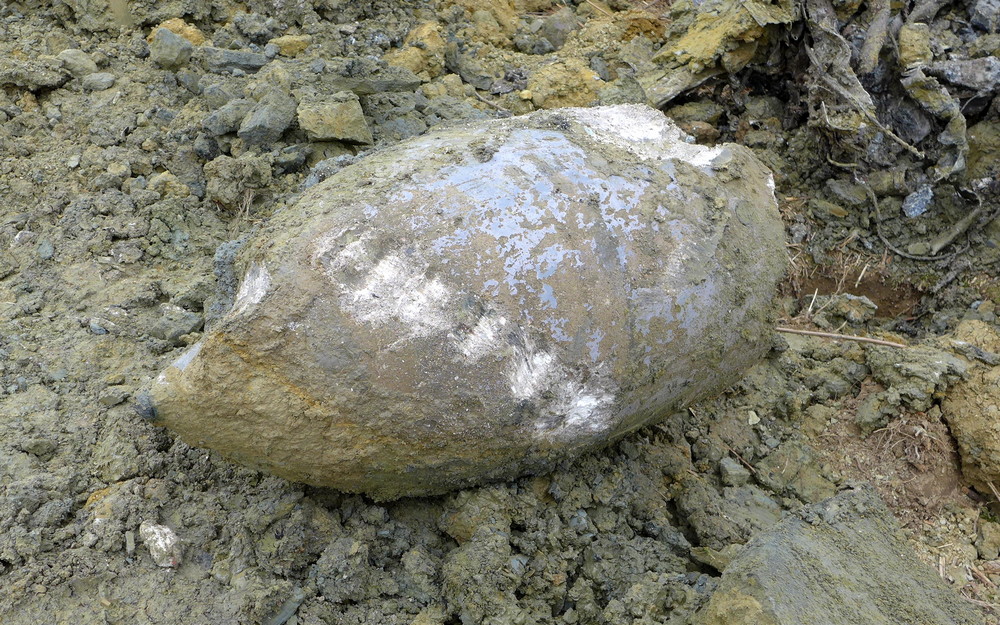 Bombowiec pod Krosnem. Fot. Marek Gransicki