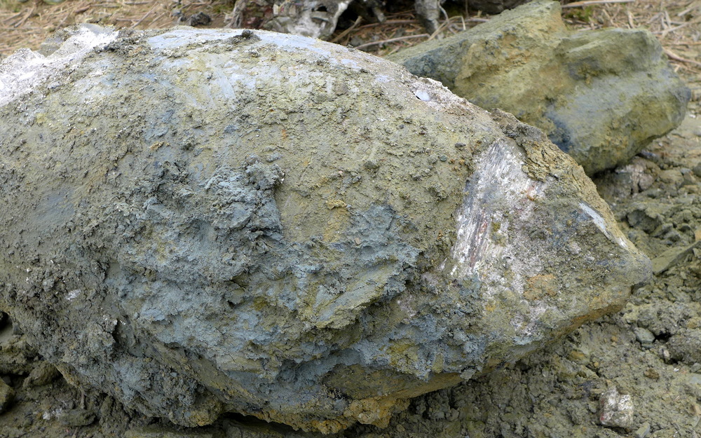 Bombowiec pod Krosnem. Fot. Marek Gransicki