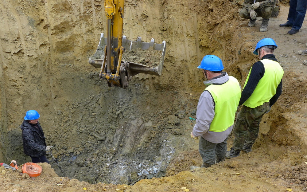 Bombowiec pod Krosnem. Fot. Marek Gransicki