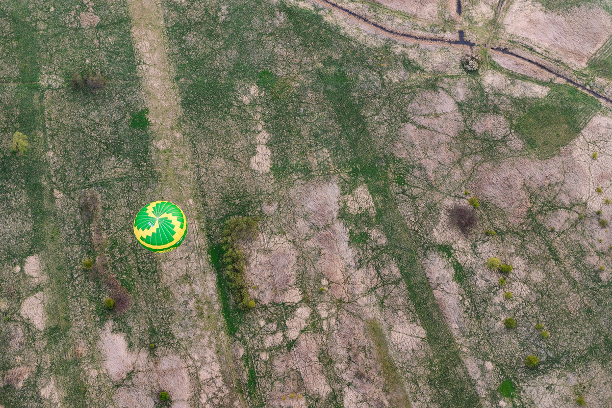 Zawody Balonowe 2015. Fot. Łukasz Jaracz