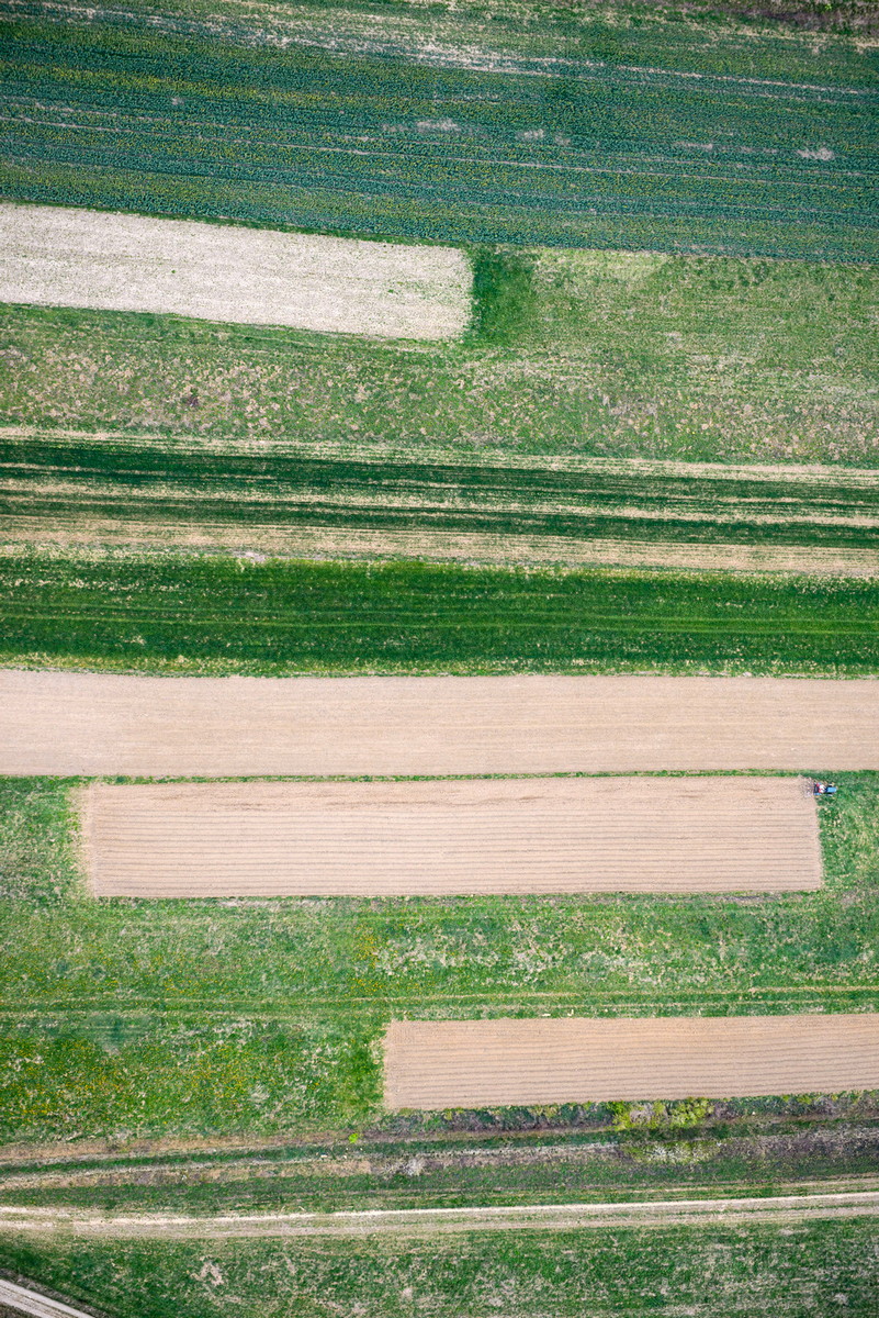 Zawody Balonowe 2015. Fot. Łukasz Jaracz