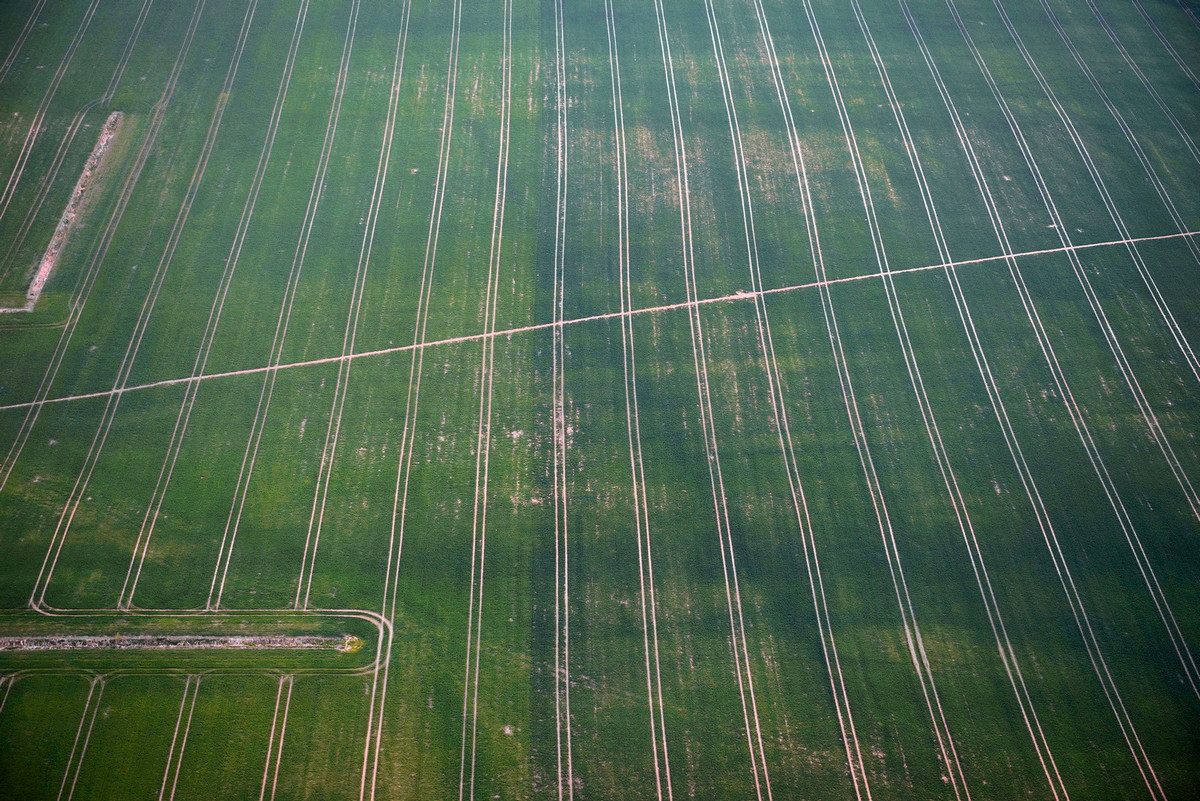 Zawody Balonowe 2015. Fot. Łukasz Jaracz