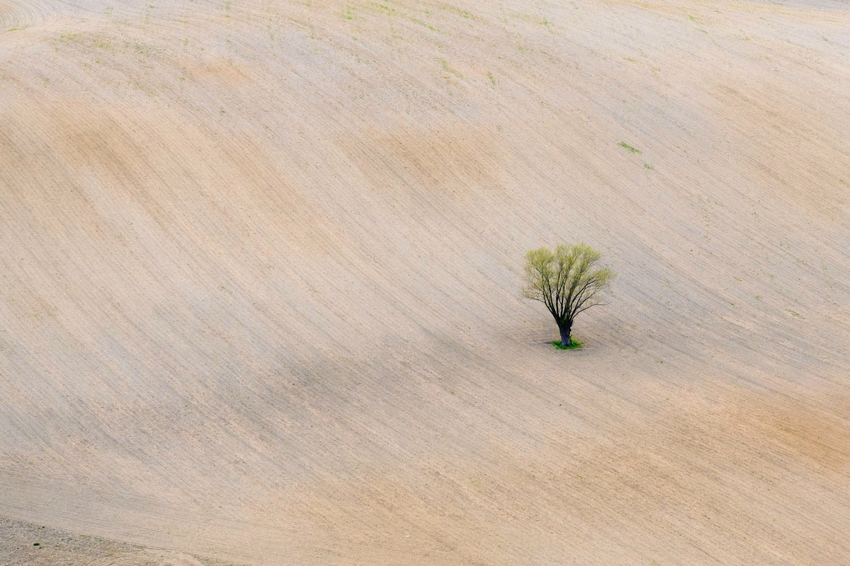 Zawody Balonowe 2015. Fot. Łukasz Jaracz