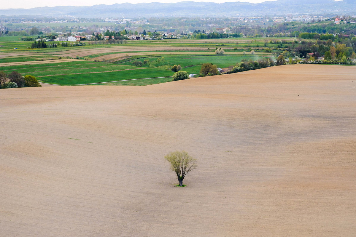 Zawody Balonowe 2015. Fot. Łukasz Jaracz