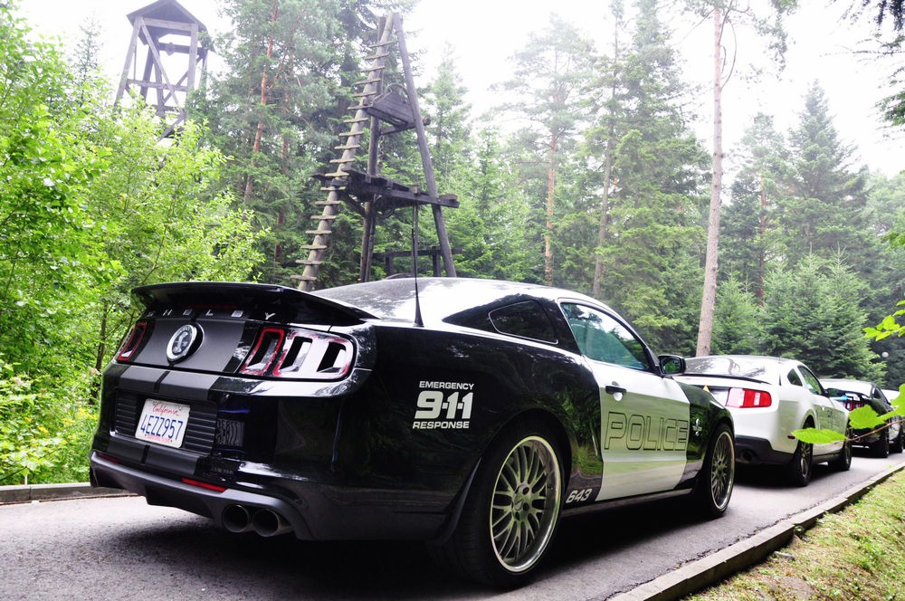 Mustang Race - Bóbrka 2016. Fot. Piotr Dymiński