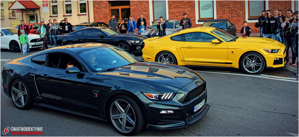 II zlot podkarpackich Mustangów w Korczynie. Fot. Wojciech Zborowski