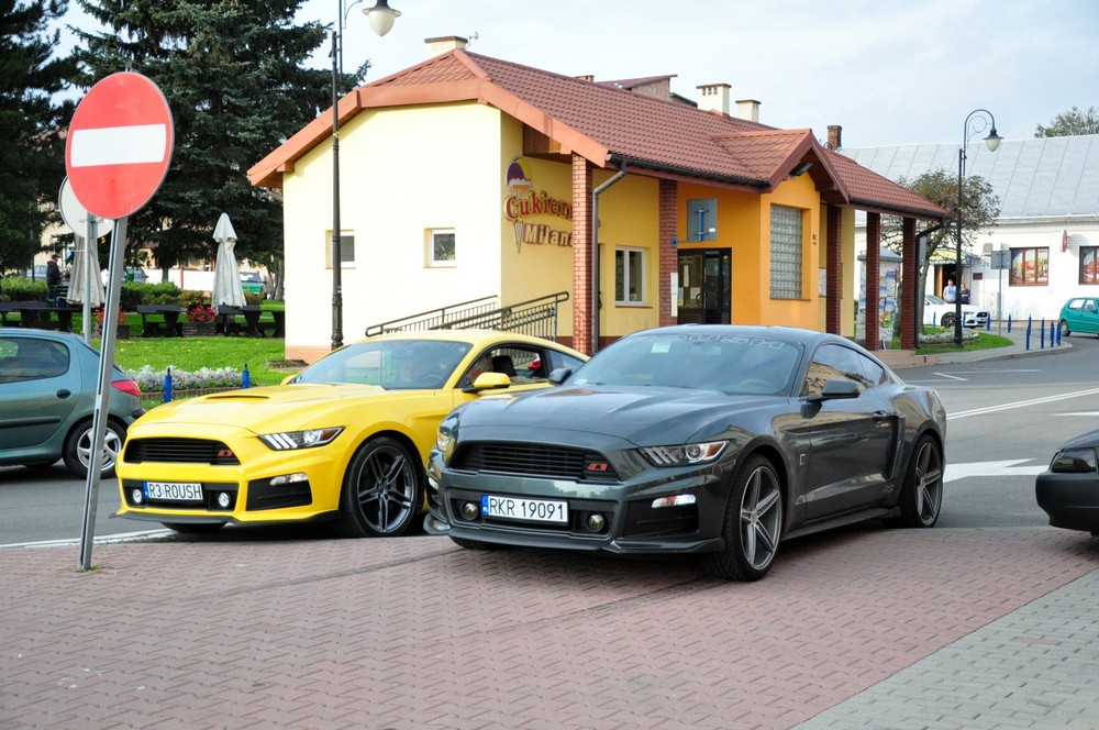 II zlot podkarpackich Mustangów w Korczynie. Fot. Piotr Dymiński