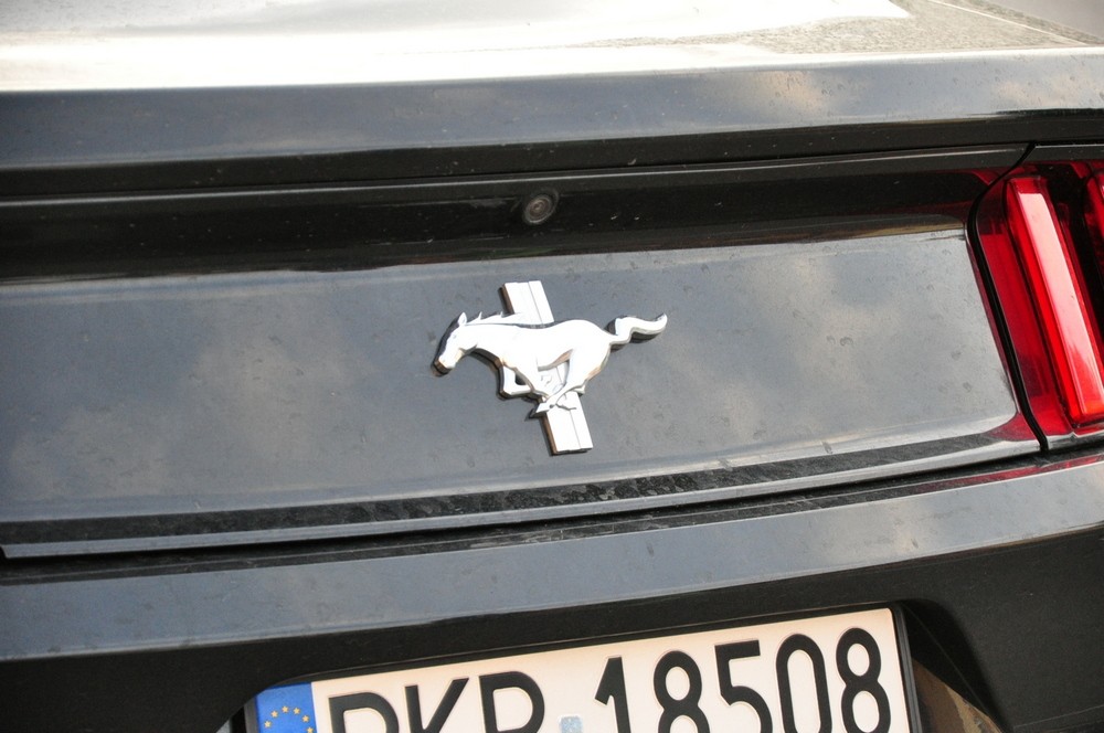 II zlot podkarpackich Mustangów w Korczynie. Fot. Piotr Dymiński