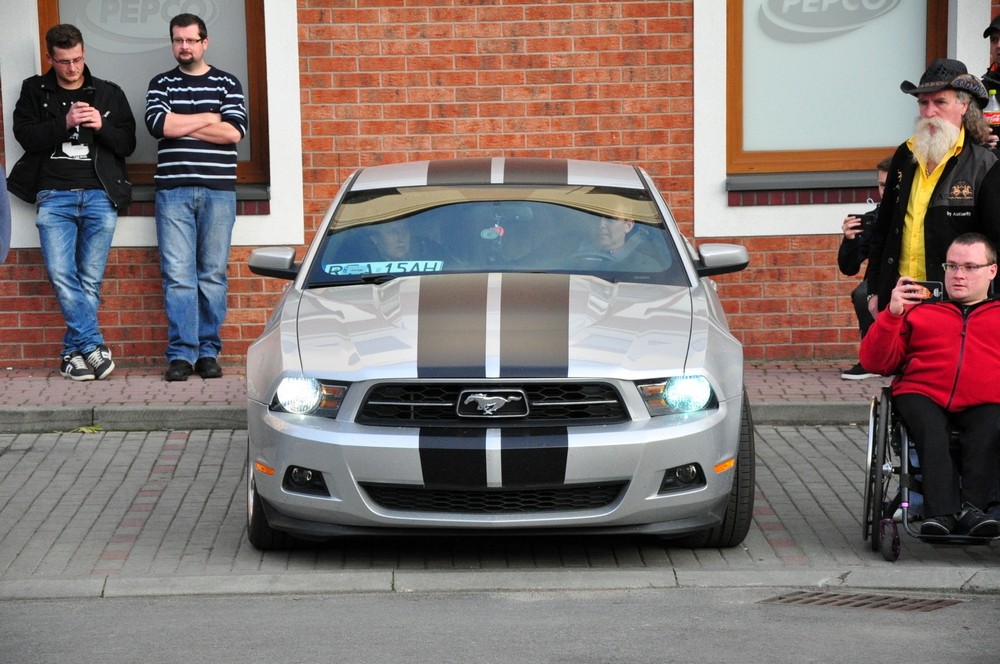 II zlot podkarpackich Mustangów w Korczynie. Fot. Piotr Dymiński