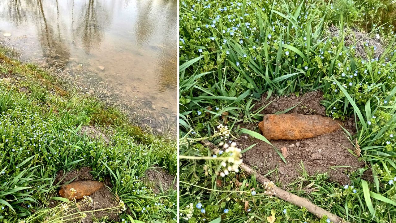 Akcja saperów w miejscowości Ostrów