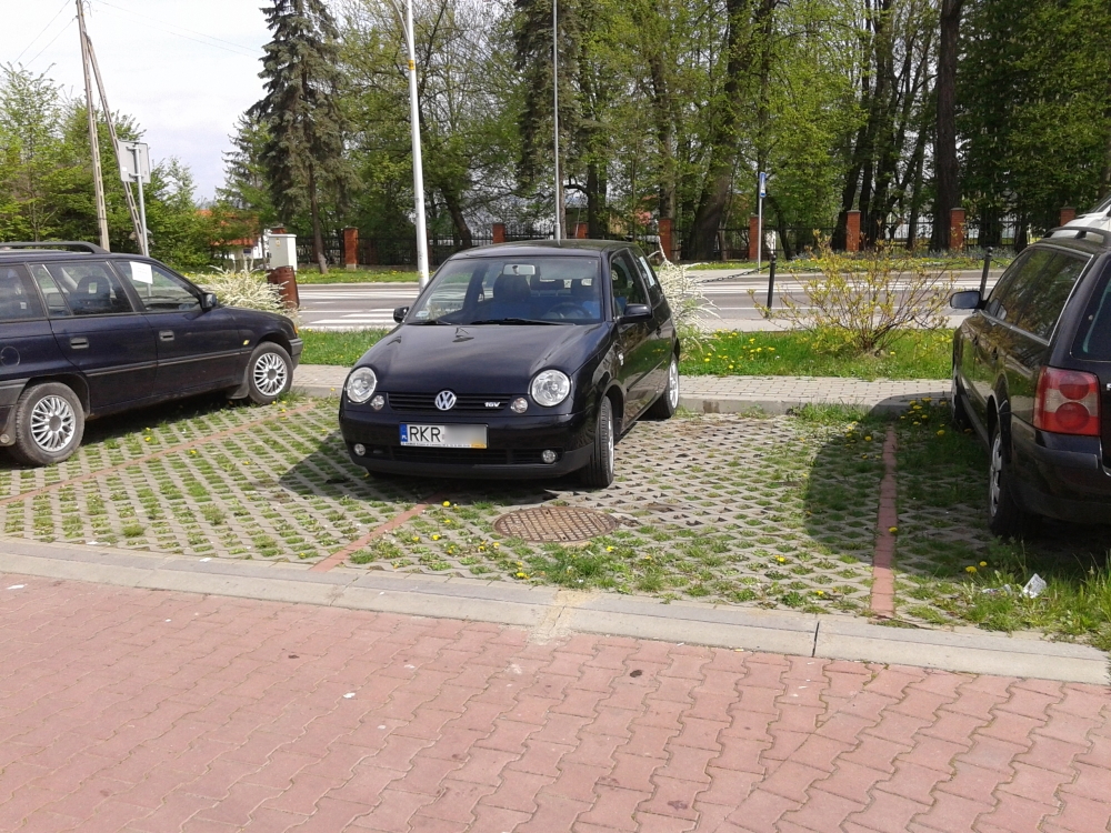 Mistrzowie parkowania po krośnieńsku #1