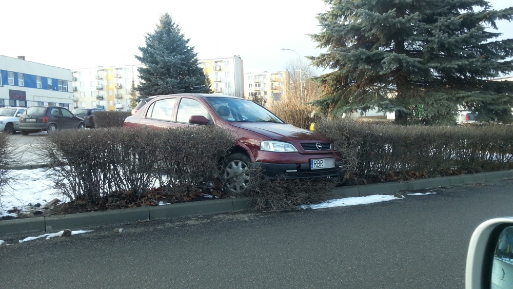 Mistrzowie parkowania po krośnieńsku #1