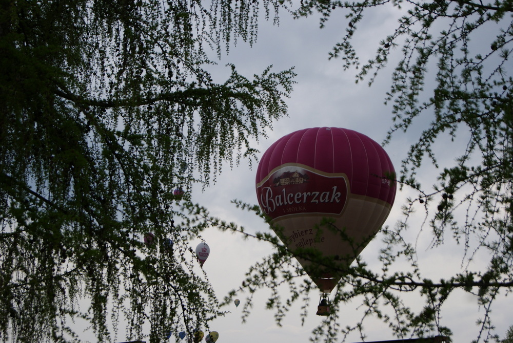 Fot. Patrycja Kielar