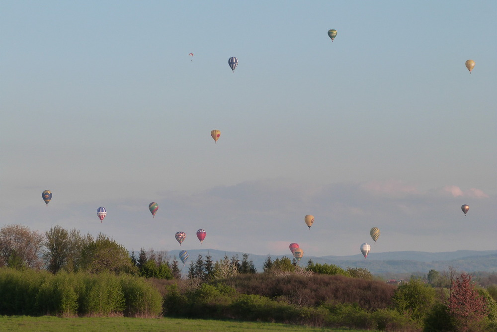 Fot. Paweł Ginalski