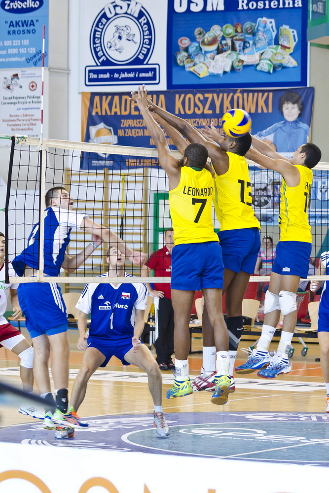 Siatkówka: Polska-Brazylia. Fot. Karol Słomka
