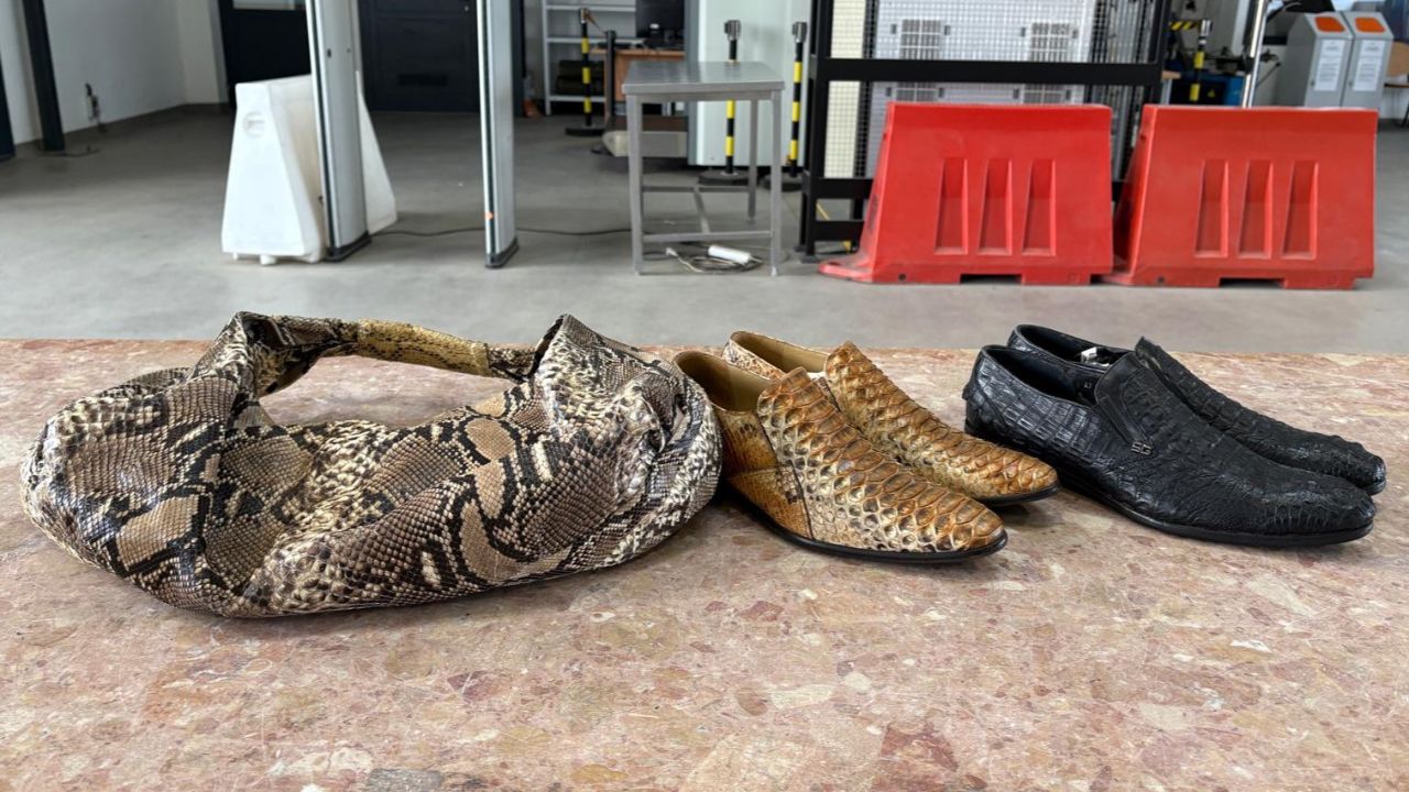 Nielegalne wyroby ze skór pytona i krokodyla przejęte przez KAS