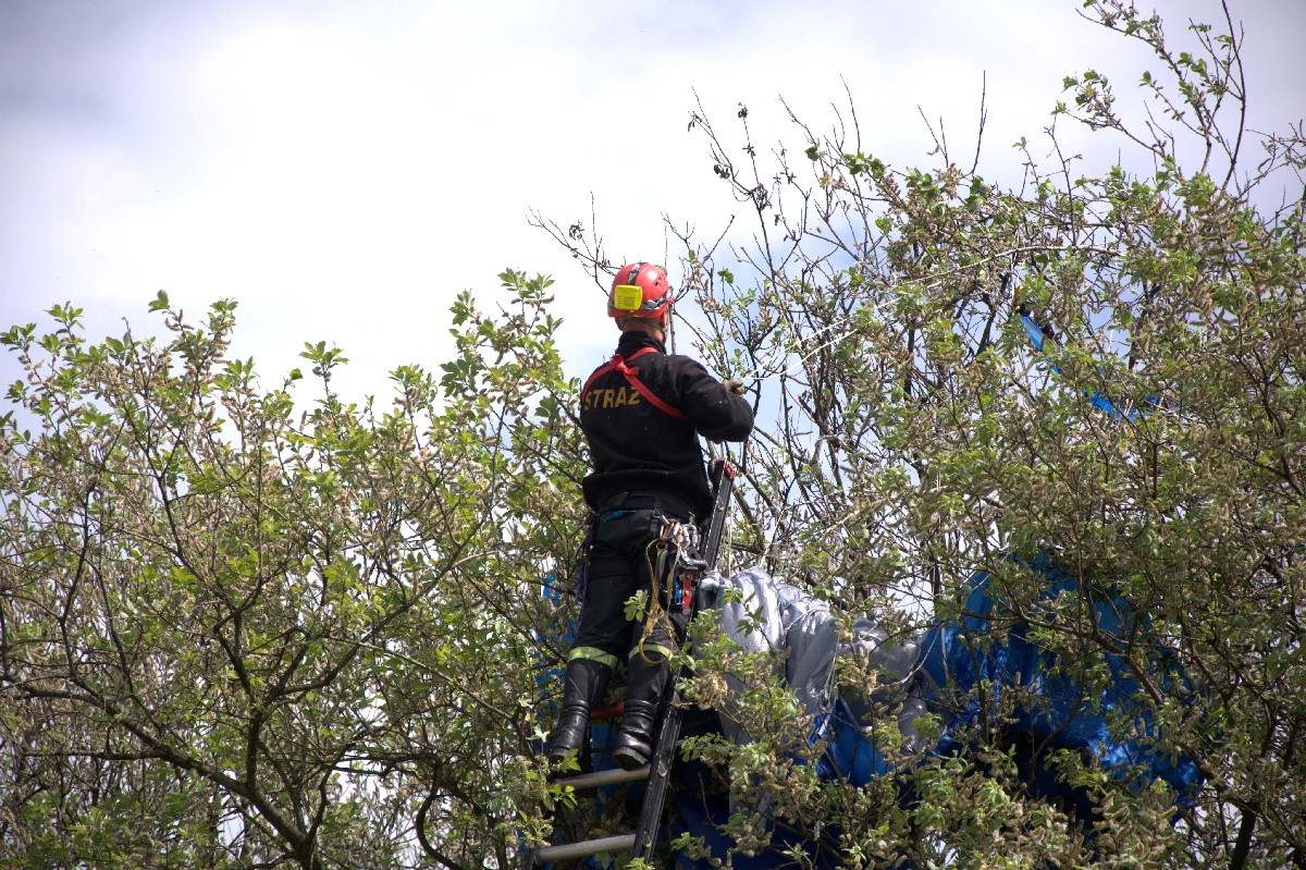 Kolizja spadochroniarza z drzewem.Zdjęcia z akcji ratowników