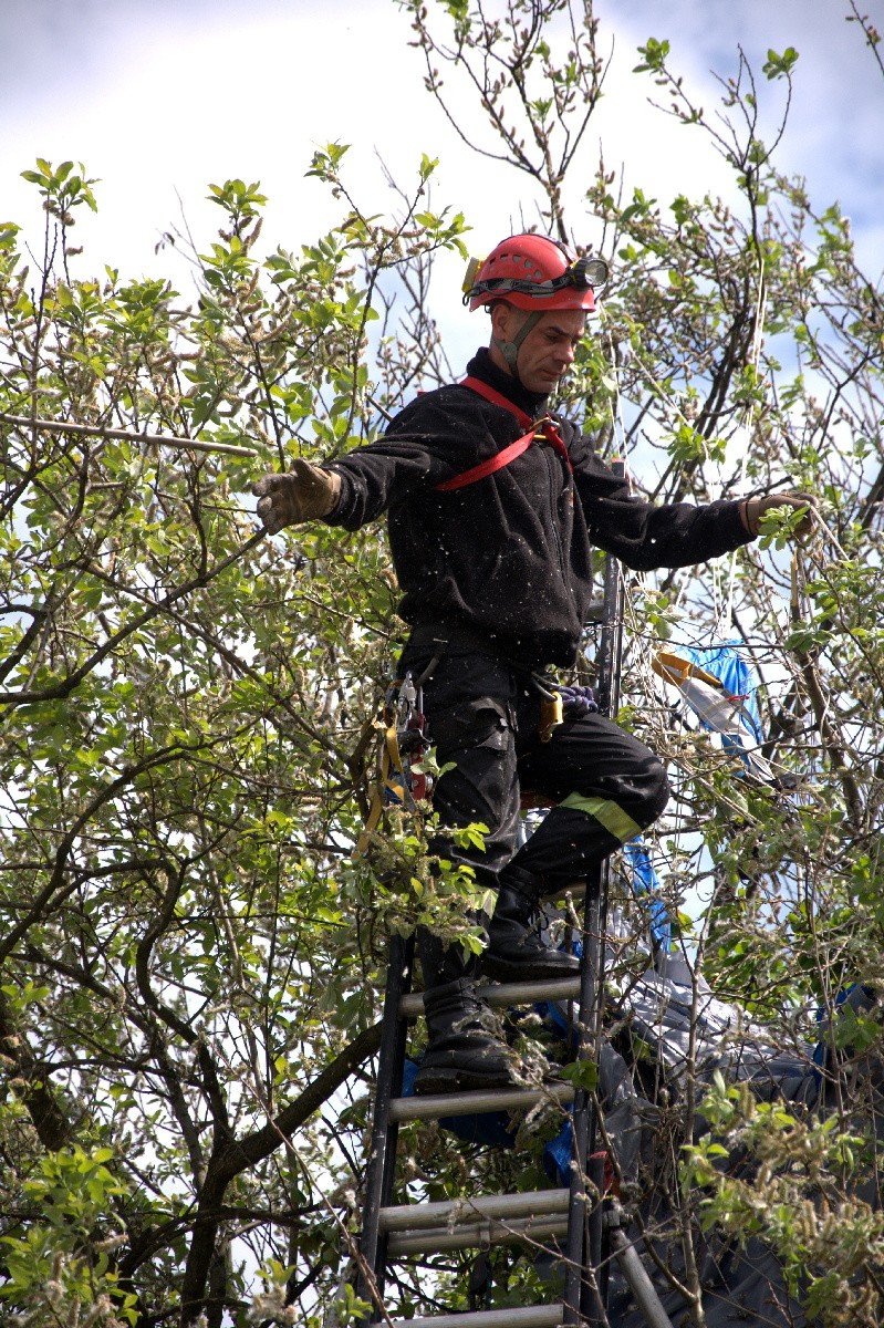 Kolizja spadochroniarza z drzewem.Zdjęcia z akcji ratowników